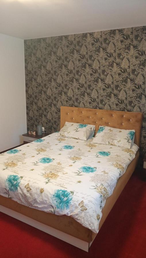 Ferienwohnung Karina House Brașov Exterior foto
